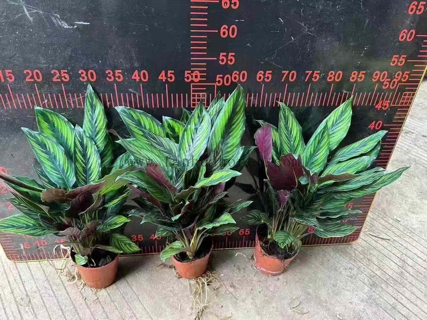 1de69144434406a6ba683f2e0e6be3a6