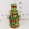 large 3 layers lucky bamboo 