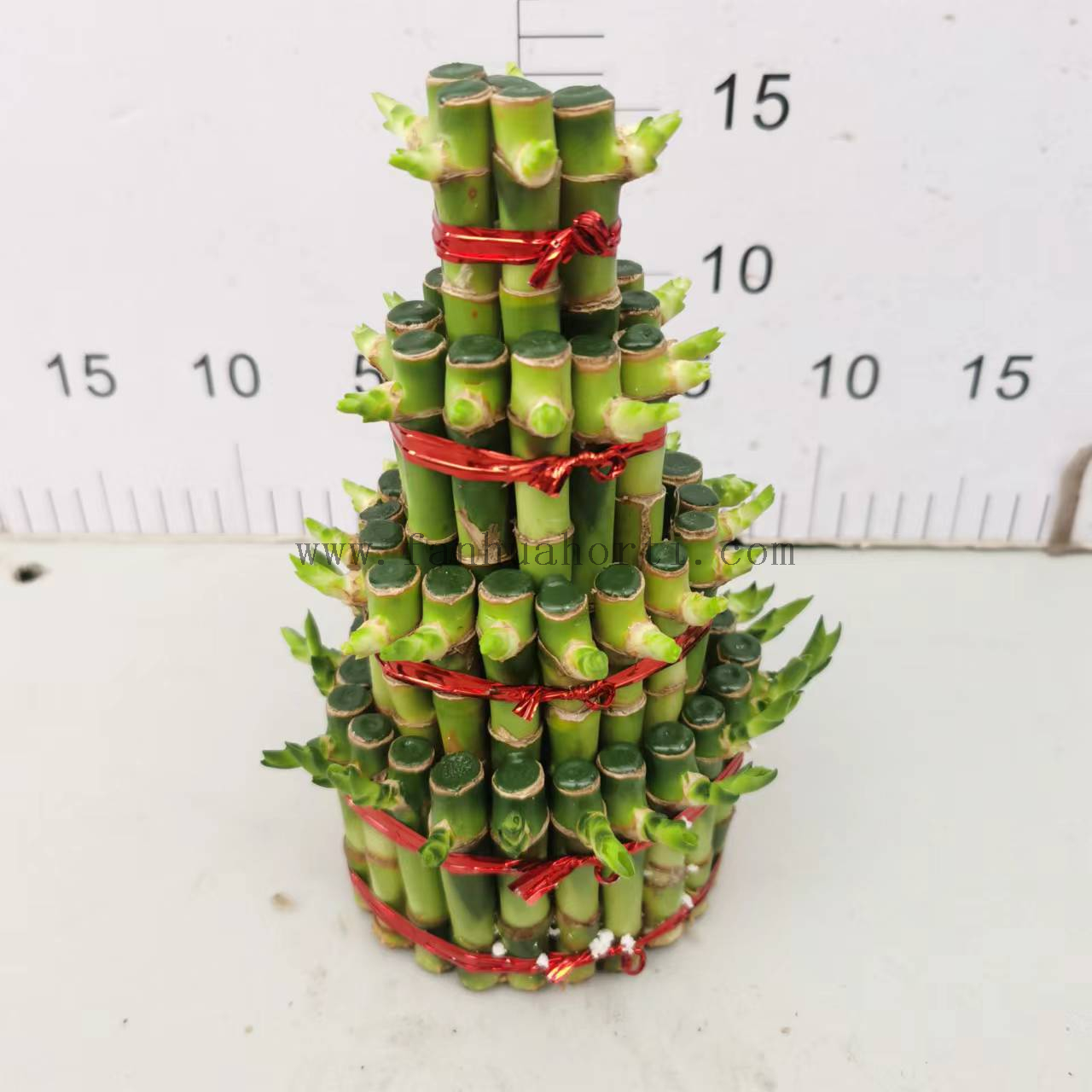 small 4 layers lucky bamboo 