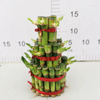 small 3 layers lucky bamboo 